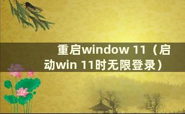 重启window 11（启动win 11时无限登录）